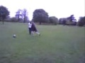 Robert gets nutmegged!!!!!!!!! Robert gets nutmegged!!!!!!!!!