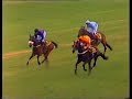 Irish Grand National 
