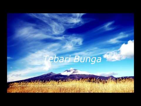The fly - Terbang (Lirik with Chord In desc)