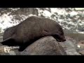 Lonely Planet - Antartide