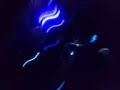 petit film en soir�e le 15 ao�t 2008 � st tropez/int�r�t musical surtout bien que enregistr� avec un mobile