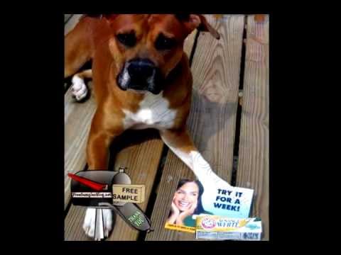 Free Sample Arm Hammer Advance White Toothpaste