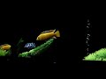 Triple Head To Go and Dream Aquarium Screensaver