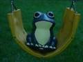 PorchFrog1