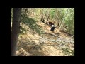 Hidden Hill Ranch- Canada Bear Hunt