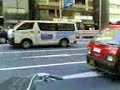 Ginza shoe Ginza shoe