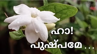 വീണപൂവ് കുമാരനാശാ�