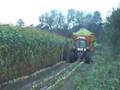 Maishakselen met Case International 1455 XL - 2
