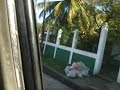 Bluefield Nicaragua 2009