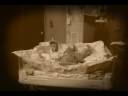 tuckers birth tuckers birth