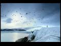 Flying Penguins - ACTUAL FOOTAGE FROM THE BBC! Flying Penguins - ACTUAL FOOTAGE FROM THE BBC!
