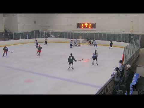 Forecheck with nice pass out front (age 13 playing u16)