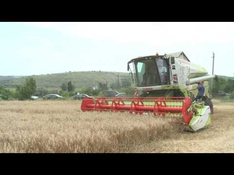 Președintele Igor Dodon a vizitat întreprinderea agricolă „Avito-Lux” din Găgăuzia