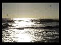 MOV03598