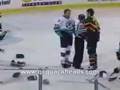 2006-2007 UHL QC Mallards Vs. Muskegon Fury Brawl