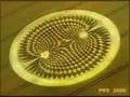 Videos de ovnis  formando circulos