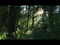 Ветер Воды - Ветер Воды / Water Wind - Water Wind