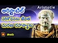 argumentul functiei aristotle biography argumentul functiei aristotle biography