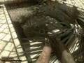 videos de Far Cry 2 Gameplay - Shotgun ownage