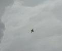 GWS J-10 75mm EDF with DSR retracts.
