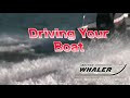 Boston Whaler/TrailerBoats.com-Skippering your boat.