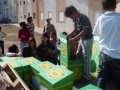 Projecto Escolhas Vivas