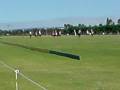 Polo Game in Perth