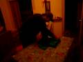 videos de daniel san dro airgato piega le maglie alla giappo in sole due mosse