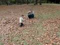 videos de 2008.11.15 Tsurugi