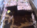 the eaten birthday cake after filming the easter eggs 035