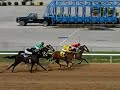 Corrida de cavalos - Horse race