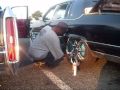 Cadillacs In Affect @ Canarsie Pier Shootin The Breeze