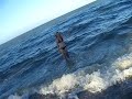 maddi maddi