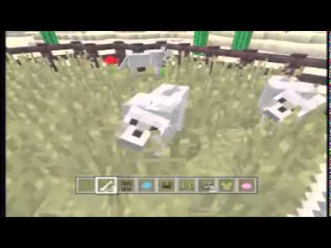 how to dye a dog in minecraft xbox
