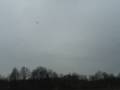 Alfa Focke Wulf Ta-183 Huckebein ARF Jet Denville NJ