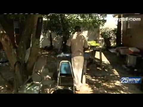 game dominoes game dominoes