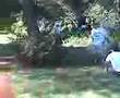 Amazing Sparring