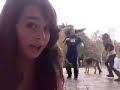 umbrella