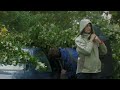 Montage footage of Hurricane Igor ripping St Johns Newfoundland