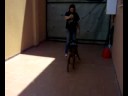 JUGANDO CON KIRA