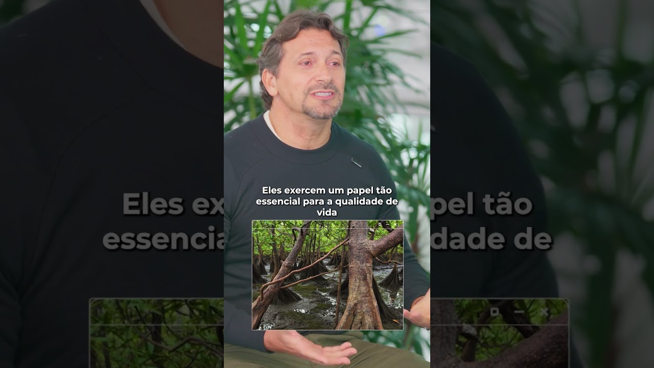 Collabs científicas que unem conhecimento, inovação e cuidado ambiental