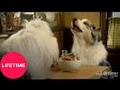 - MovieZen Video