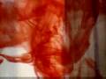 videos de The Red Flag: Red 40