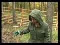 Per Klick in den Wald - Bäume pflanzen mit WikiWoods