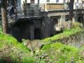 The Rome Cat Sanctuary