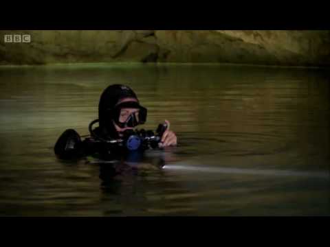 caves - Dr Iain Stewart cave dives in a cenote to reveal a spectaucular hidden world as he tells the story of the colossal meteor strike 65 million years ago that cr...