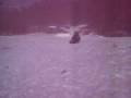 videos de navacerrada 025