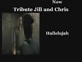 tribute to jill valentine and chris redfield