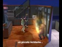 gravidanza