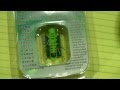 (uploaded by islandbayy)&nbsp;Novel Solar Powered Locust Deal Extreme SKU# 30658